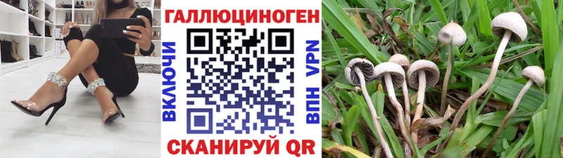 блэк спрут   Павловская  Псилоцибиновые грибы MAGIC MUSHROOMS 